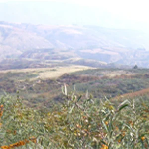 GBのWeb制作について