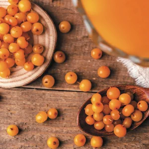 SEO対策について