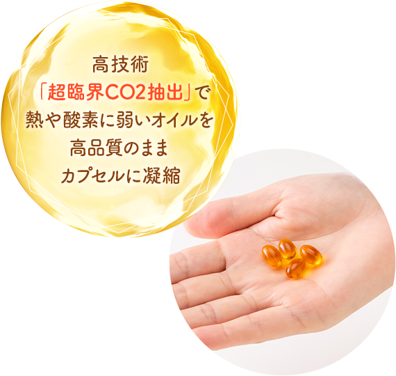 スマホ用バナー