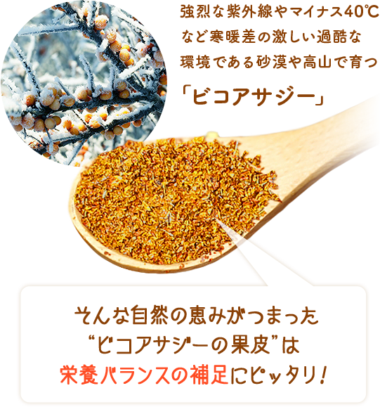 スマホ用バナー