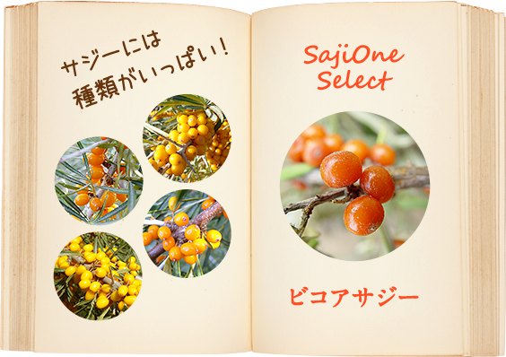 スマホ用バナー