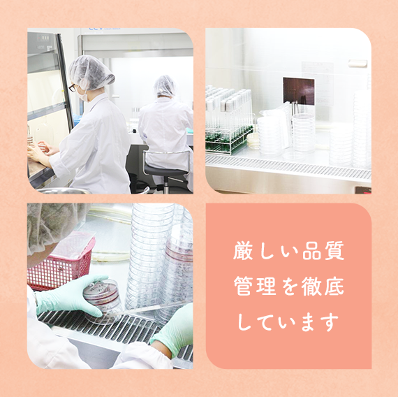 スマホ用バナー